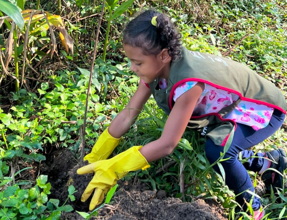 Parques Cotia Pará e Perequê recebem plantio de 100 mudas de árvores