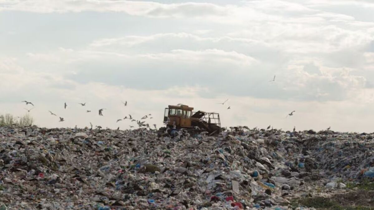 Homem perde mais de R$ 4 bilhões em aterro sanitário e não consegue  recuperar - Diário do Litoral