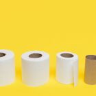 Quem tem rolos de papel higiênico em casa tem um tesouro: por que e para que servem