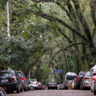 Rua mais linda do mundo está no Brasil, tem túnel verde e casas no estilo neoclássico