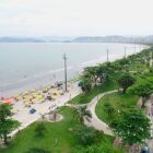 Tubarões no litoral de SP: por que essa região faz parte da rota natural desses predadores