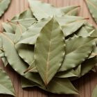 Truque simples: colocar uma folha de louro atrás da porta pode ser seu maior aliado no verão