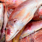 Peixe com sabor de camarão custa bem menos e muita gente ainda não conhece