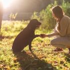 Pessoas que acariciam cachorros na rua t&ecirc;m um comportamento importante para a psicologia