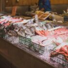 Ap&oacute;s 15 anos de monitoramento, cientistas confirmam chegada de microalga t&oacute;xica no Mediterr&acirc;neo