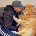 Lei Joca passa no Senado e pode acabar com viagens de pets no compartimento de carga