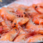 Fora do prato: entenda por que o camar&atilde;o n&atilde;o deve ser consumido at&eacute; o final de abril