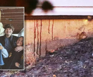 Mistério no Idaho: Quatro estudantes foram assassinados em casa e não há um  único suspeito - Mundo - Correio da Manhã