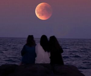 Conheça 5 frases ditas por quem tem inteligência emocional alta, segundo a psicologia.