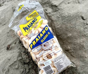 Biscoito Praiano atravessa gera&ccedil;&otilde;es e mant&eacute;m viva a mem&oacute;ria de Santos.