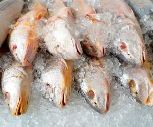 Com frente fria e ressaca no litoral de SP, pre&ccedil;o do peixe pode disparar nos pr&oacute;ximos dias.