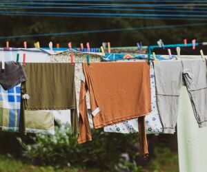 Perigo no varal: por que voc&ecirc; deve sacudir as roupas antes de recolh&ecirc;-las no outono.