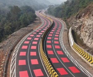 'Tapete Vermelho' em rodovia indiana tem chamado a aten&ccedil;&atilde;o dos motoristas e animais.