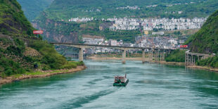 Nova espécie de grande predador fluvial é descoberta e pode pesar até 100 kg