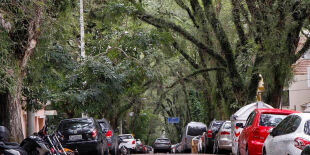 Rua mais linda do mundo está no Brasil, tem túnel verde e casas no estilo neoclássico