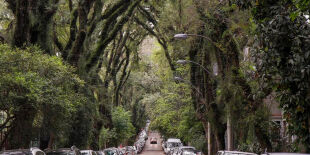 Rua mais bonita do mundo fica no Brasil e inspira cidades ao redor do planeta