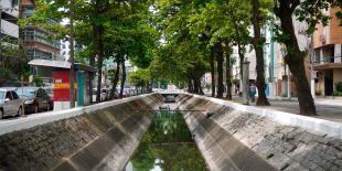 Esp&eacute;cie ex&oacute;tica da &Aacute;frica se adapta aos canais e 'adota' Santos, mas pesca &eacute; proibida e gera multa