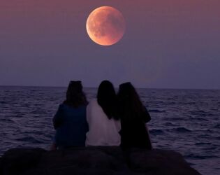 Conheça 5 frases ditas por quem tem inteligência emocional alta, segundo a psicologia.