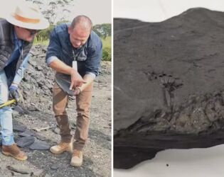 Obras em rodovia são suspensas após descoberta de fósseis mais antigos que dinossauros.