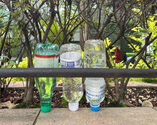 Truque simples com vinagre em garrafas ajuda a espantar mosquitos e tirar mau cheiro.