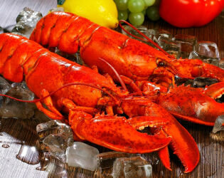 Pre&ccedil;o de luxo: lagosta chega a R$ 140 o quilo e refor&ccedil;a status nobre no litoral paulista.