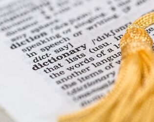 Skibidi, delulu e tradwife: g&iacute;rias consideradas 'sem sentido' entram para o dicion&aacute;rio e surpreendem.