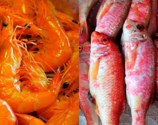 Peixe com sabor de camar&atilde;o vira op&ccedil;&atilde;o econ&ocirc;mica e vers&aacute;til enquanto o pre&ccedil;o do crust&aacute;ceo dispara.