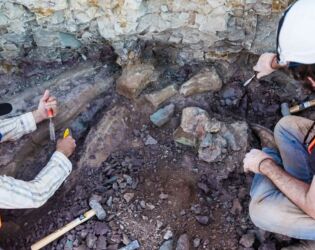 Cientistas descobrem nova esp&eacute;cie de dinossauro gigante com f&oacute;sseis achados na Amaz&ocirc;nia.