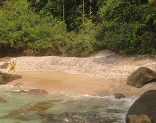 'Cantinho do para&iacute;so' em Ubatuba s&oacute; pode ser acessado por trilha e encanta com 'areia de conchas'.