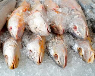 Com frente fria e ressaca no litoral de SP, pre&ccedil;o do peixe pode disparar nos pr&oacute;ximos dias.