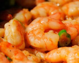 Terra do Camar&atilde;o: essa regi&atilde;o brasileira produz quase 9 mil toneladas do crust&aacute;ceo por ano.