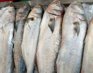 Como n&atilde;o cair em cilada ao comprar peixe na Semana Santa, segundo especialista.