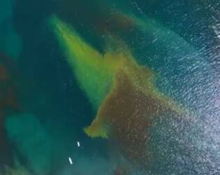 Mar de sangue surge em para&iacute;so litor&acirc;neo e tira o sono de moradores e pesquisadores.