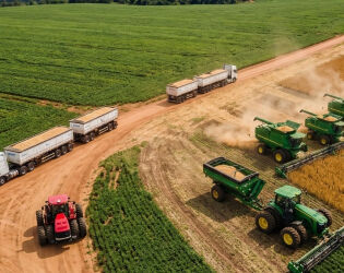 A minicidade que 'nasceu rica' e hoje &eacute; uma das maiores exportadoras do Brasil.