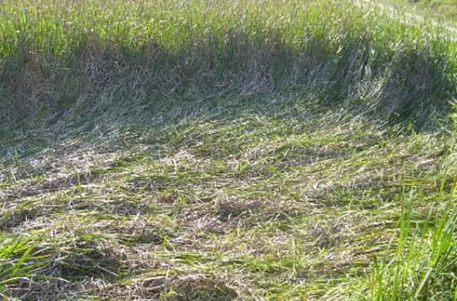 Capital dos OVNIs: Por que esta cidade em SP atrai tantos ca&ccedil;adores de extraterrestres?