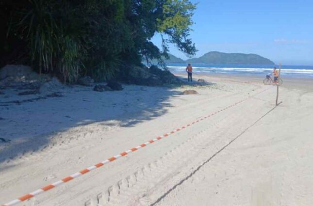 Dono de terreno é multado após chuva de pedras em praia do litoral de SP