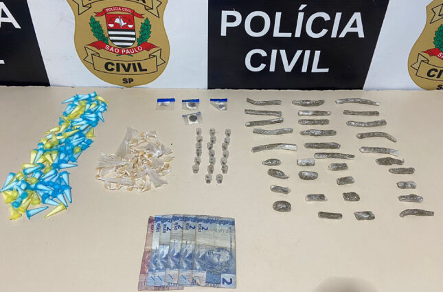 Polícia Civil flagra e prende traficante em área de mata em São Vicente