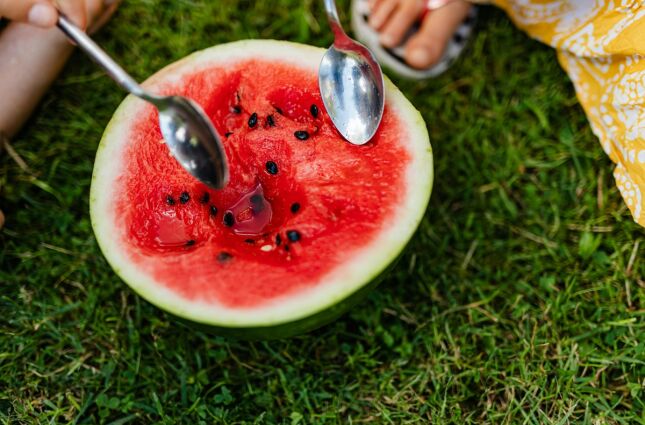 Conheça o superalimento para aumentar imunidade que você joga fora sem saber