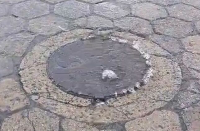 'Cheiro absurdo": V&iacute;deo flagra esgoto da Sabesp jorrando em praia do litoral de SP