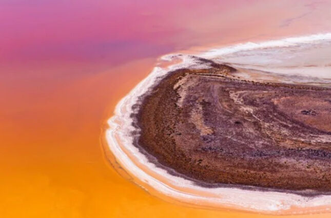 Deserto que virou o&aacute;sis: entenda o fen&ocirc;meno que trouxe vida e cores ao lugar mais seco da Austr&aacute;lia
