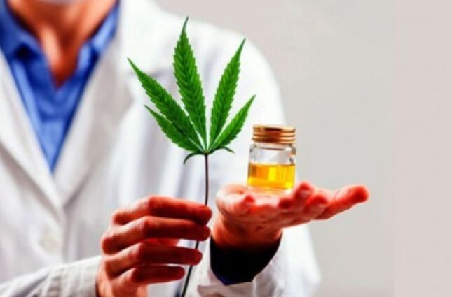 'Avan&ccedil;o relevante para o setor farmac&ecirc;utico', diz especialista sobre cultivo de cannabis no Brasil