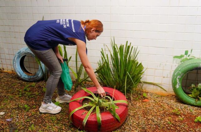 Mongagu&aacute; intensifica combate &agrave; dengue com vistorias em creches e escolas municipais