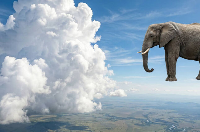 100 elefantes sob a sua cabe&ccedil;a: Saiba o peso de uma nuvem branca e uma de tempestade