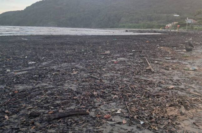 V&Iacute;DEO: Mar revolto ap&oacute;s chuva forte despeja res&iacute;duos e muda paisagem em praia do litoral de SP
