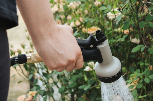Suas plantas morrem r&aacute;pido demais? Voc&ecirc; pode estar cometendo algum desses erros