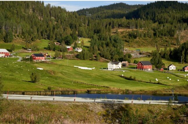 Fam&iacute;lia de agricultores recusa R$ 130 milh&otilde;es para constru&ccedil;&atilde;o de data center em suas terras