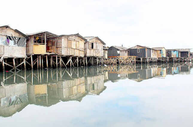 Al&eacute;m dos pr&eacute;dios: conhe&ccedil;a a maior favela de palafitas do Brasil, no litoral de SP