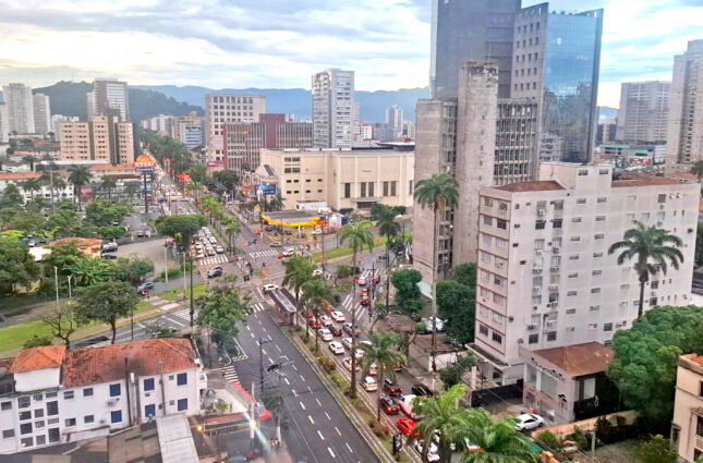Ana Costa: A mulher por tr&aacute;s do nome da principal avenida de Santos