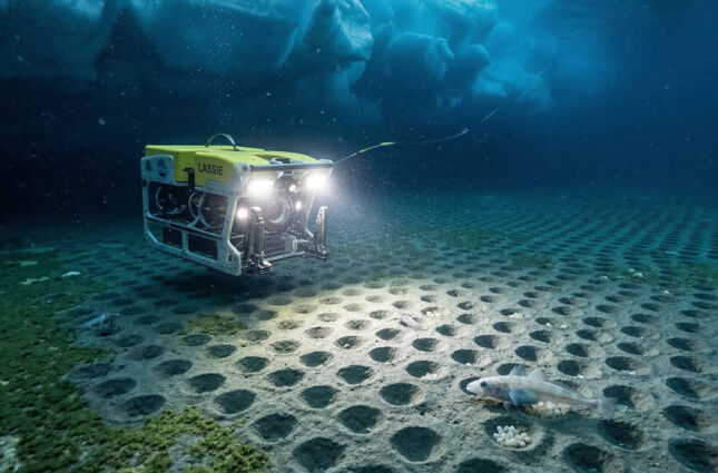 Rob&ocirc; trope&ccedil;a em 'cidade' secreta de peixes no fundo da Ant&aacute;rtida e aumenta preocupa&ccedil;&atilde;o com o clima