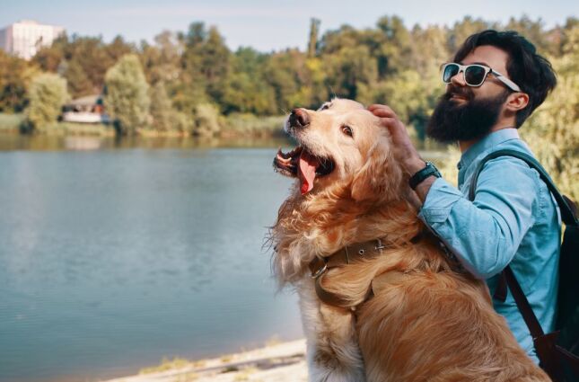 Mais pets que crian&ccedil;as: mercado do turismo se adapta aos novos 'filhos' e j&aacute; movimenta R$ 75 bi